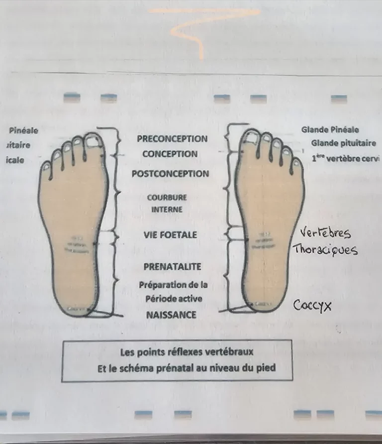 Soin métamorphique