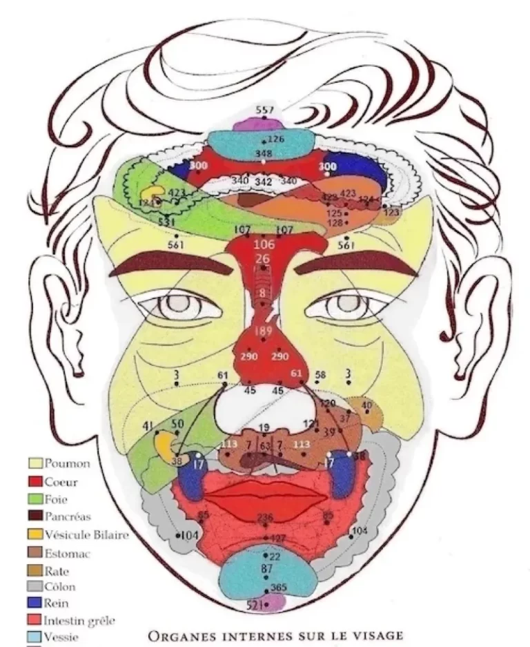 Réflexologie faciale ou Dien Chân